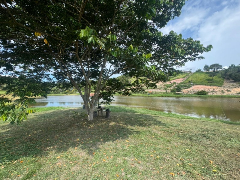 PESQUEIRO EM BIRITIBA MIRIM