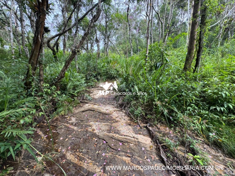 SÍTIO COM CACHOEIRA NA REGIÃO DE SALESÓPOLIS