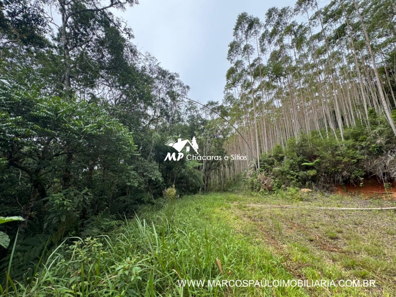 SÍTIO COM CACHOEIRA NA REGIÃO DE SALESÓPOLIS