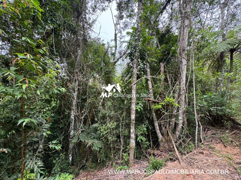 SÍTIO COM CACHOEIRA NA REGIÃO DE SALESÓPOLIS