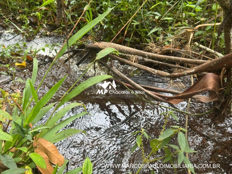 SÍTIO COM CACHOEIRA NA REGIÃO DE SALESÓPOLIS