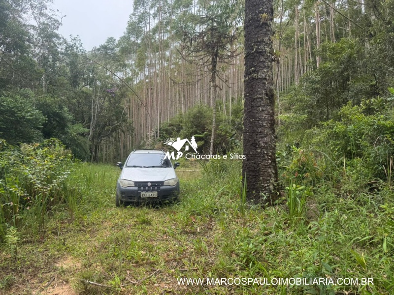 SÍTIO COM CACHOEIRA NA REGIÃO DE SALESÓPOLIS