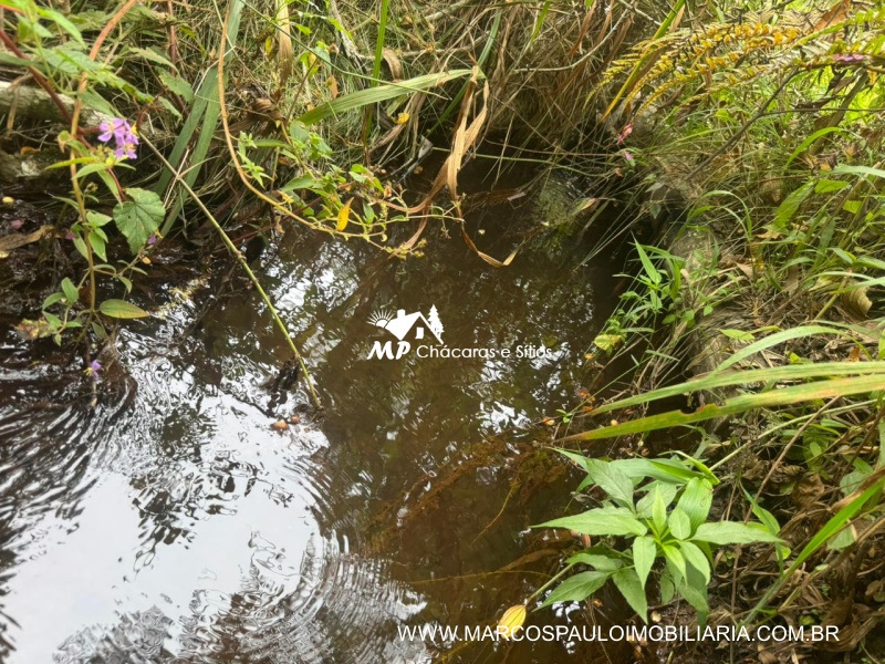 SÍTIO COM CACHOEIRA NA REGIÃO DE SALESÓPOLIS