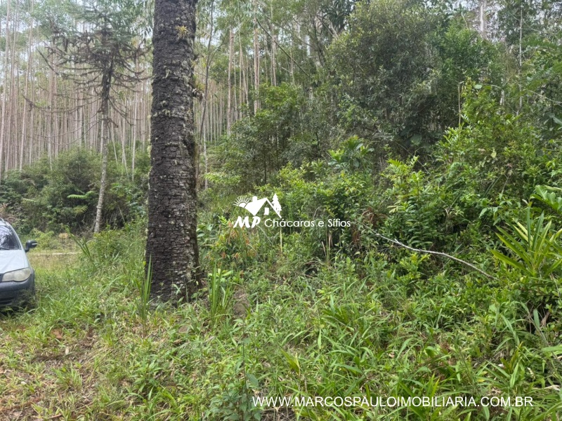SÍTIO COM CACHOEIRA NA REGIÃO DE SALESÓPOLIS