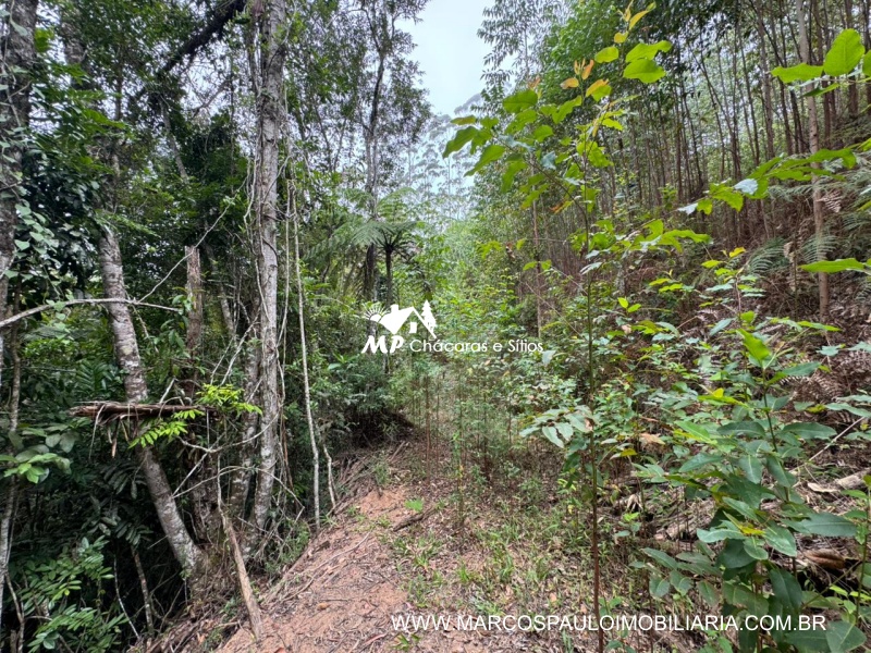 SÍTIO COM CACHOEIRA NA REGIÃO DE SALESÓPOLIS