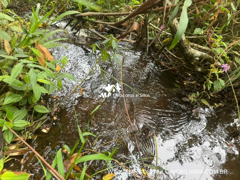 SÍTIO COM CACHOEIRA NA REGIÃO DE SALESÓPOLIS