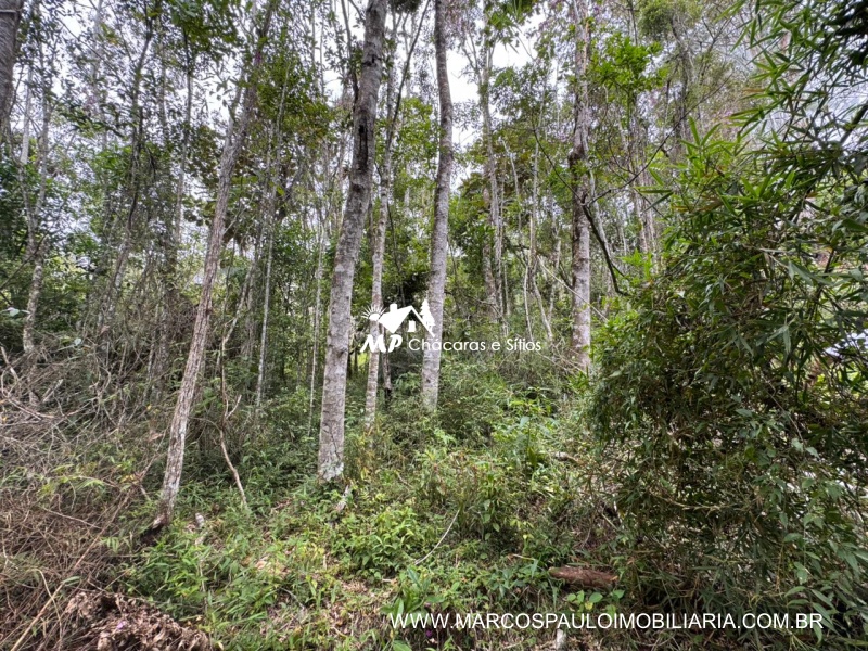SÍTIO COM CACHOEIRA NA REGIÃO DE SALESÓPOLIS