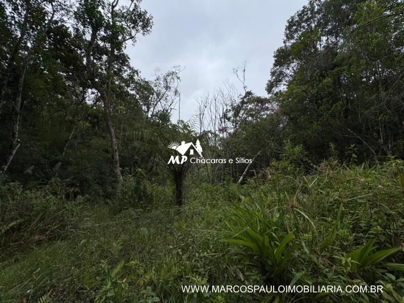 SÍTIO COM CACHOEIRA NA REGIÃO DE SALESÓPOLIS