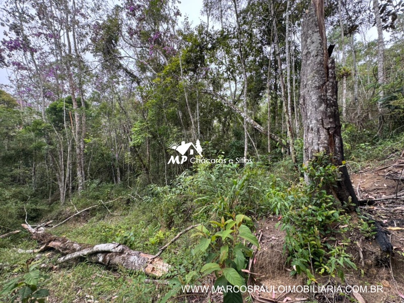 SÍTIO COM CACHOEIRA NA REGIÃO DE SALESÓPOLIS