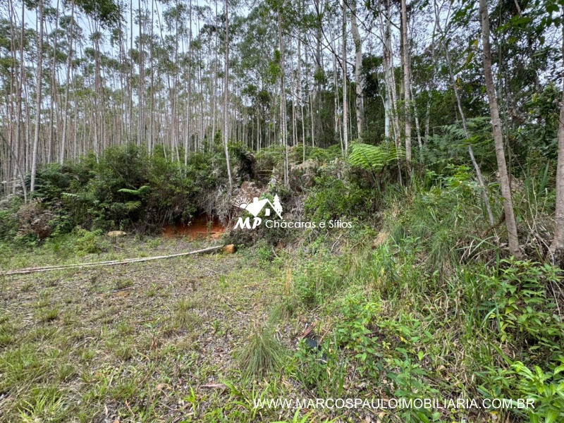 SÍTIO COM CACHOEIRA NA REGIÃO DE SALESÓPOLIS