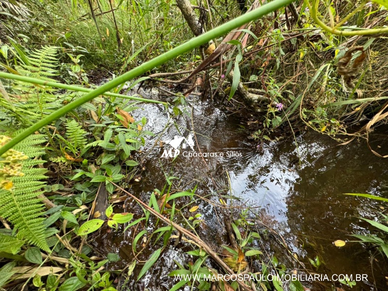 SÍTIO COM CACHOEIRA NA REGIÃO DE SALESÓPOLIS