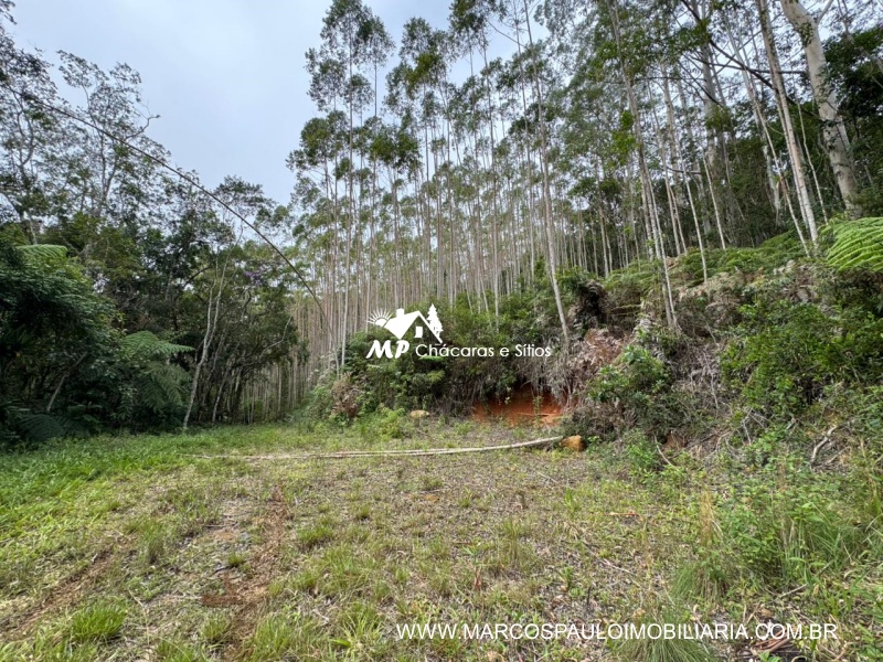 SÍTIO COM CACHOEIRA NA REGIÃO DE SALESÓPOLIS