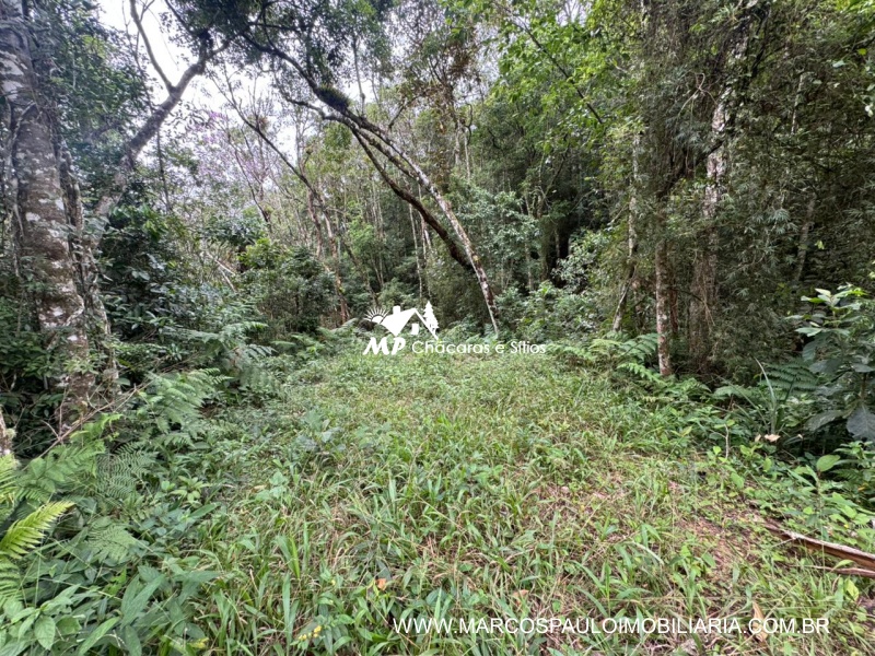 SÍTIO COM CACHOEIRA NA REGIÃO DE SALESÓPOLIS