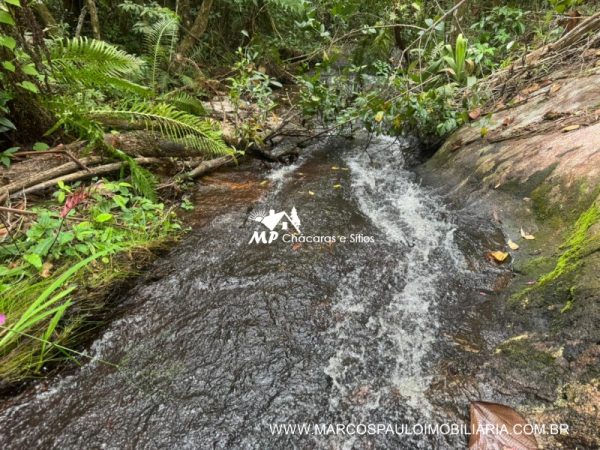 SÍTIO COM CACHOEIRA NA REGIÃO DE SALESÓPOLIS