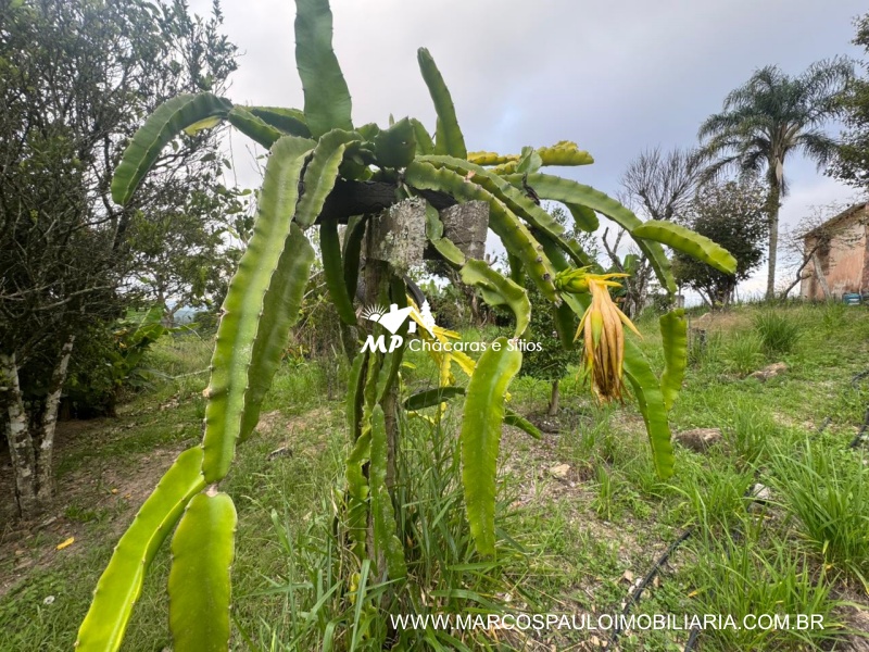 CHÁCARA EM BIRITIBA MIRIM DE FÁCIL ACESSO