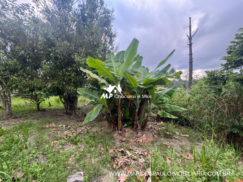 CHÁCARA EM BIRITIBA MIRIM DE FÁCIL ACESSO