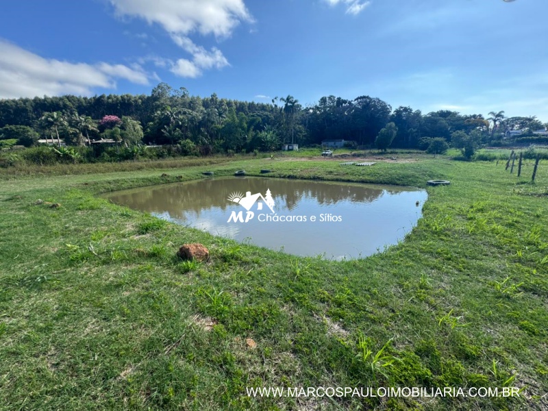 TERRENO PÉ NO ASFALTO EM BIRITIBA MIRIM