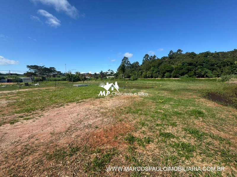 TERRENO PÉ NO ASFALTO EM BIRITIBA MIRIM