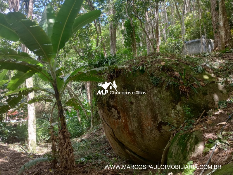 SÍTIO ESPETACULAR EM BIRITIBA MIRIM