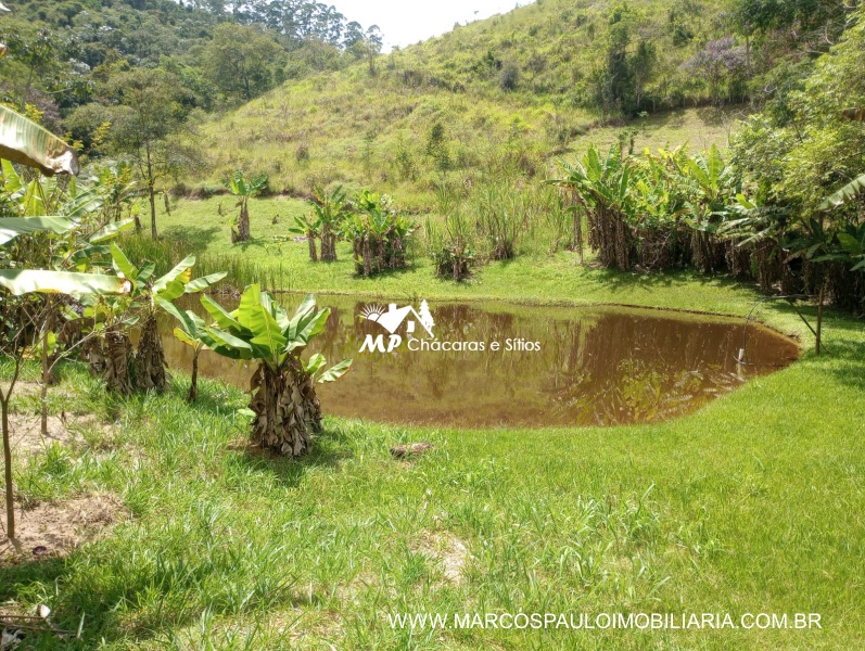 SÍTIO ESPETACULAR EM BIRITIBA MIRIM