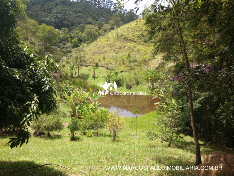 SÍTIO ESPETACULAR EM BIRITIBA MIRIM