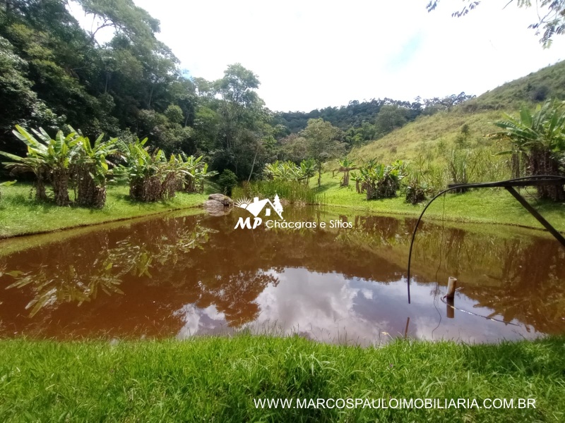 SÍTIO ESPETACULAR EM BIRITIBA MIRIM