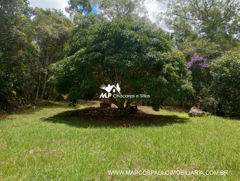 SÍTIO ESPETACULAR EM BIRITIBA MIRIM