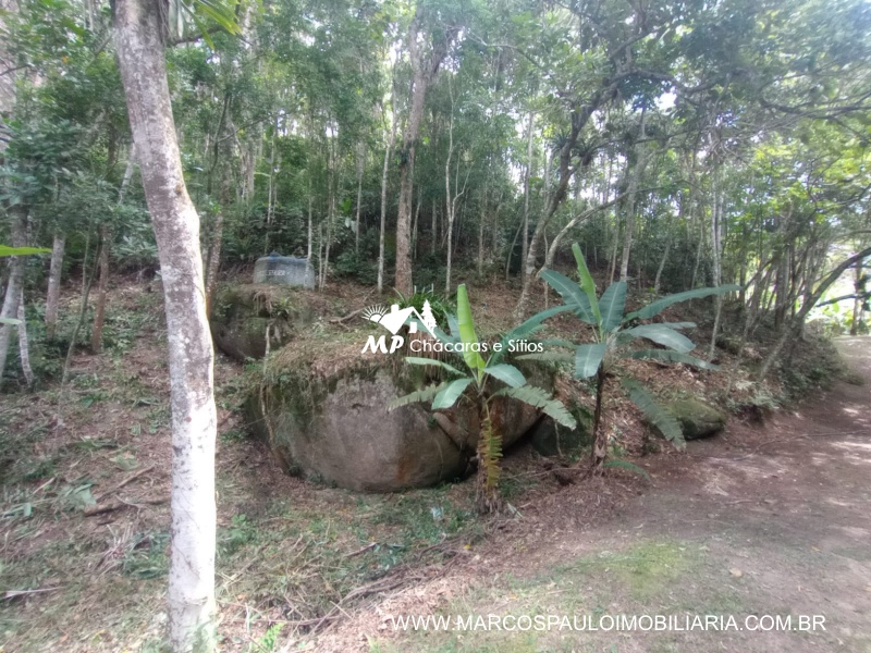 SÍTIO ESPETACULAR EM BIRITIBA MIRIM