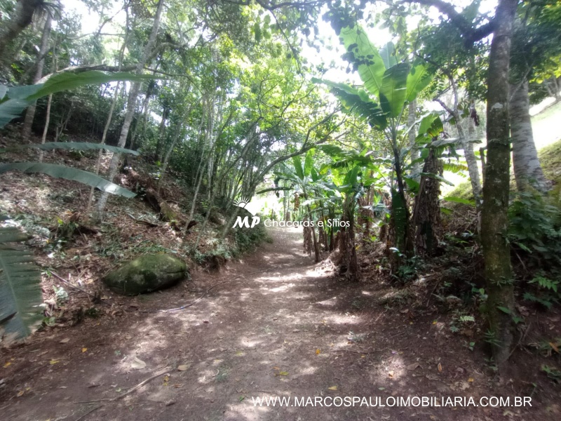 SÍTIO ESPETACULAR EM BIRITIBA MIRIM