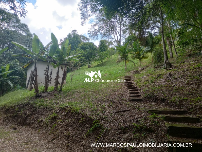 SÍTIO ESPETACULAR EM BIRITIBA MIRIM