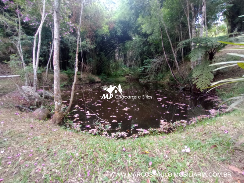 SÍTIO ESPETACULAR EM BIRITIBA MIRIM