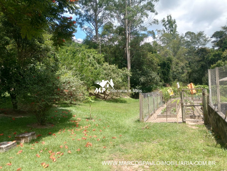 SÍTIO ESPETACULAR EM BIRITIBA MIRIM
