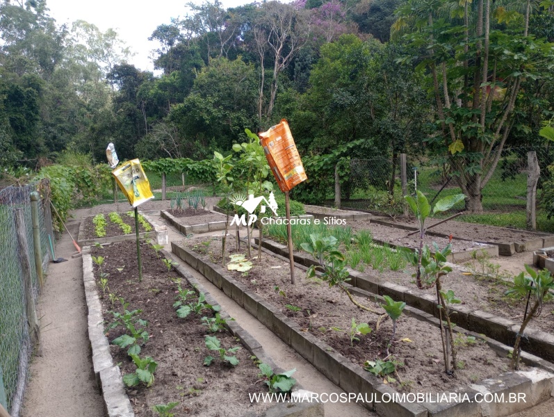 SÍTIO ESPETACULAR EM BIRITIBA MIRIM