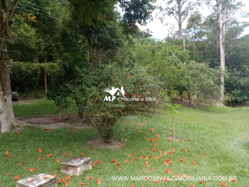 SÍTIO ESPETACULAR EM BIRITIBA MIRIM