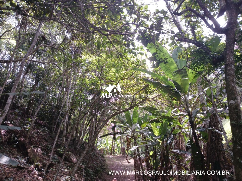SÍTIO ESPETACULAR EM BIRITIBA MIRIM