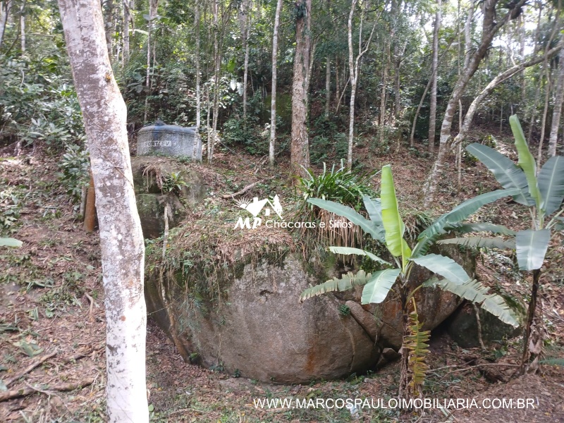 SÍTIO ESPETACULAR EM BIRITIBA MIRIM