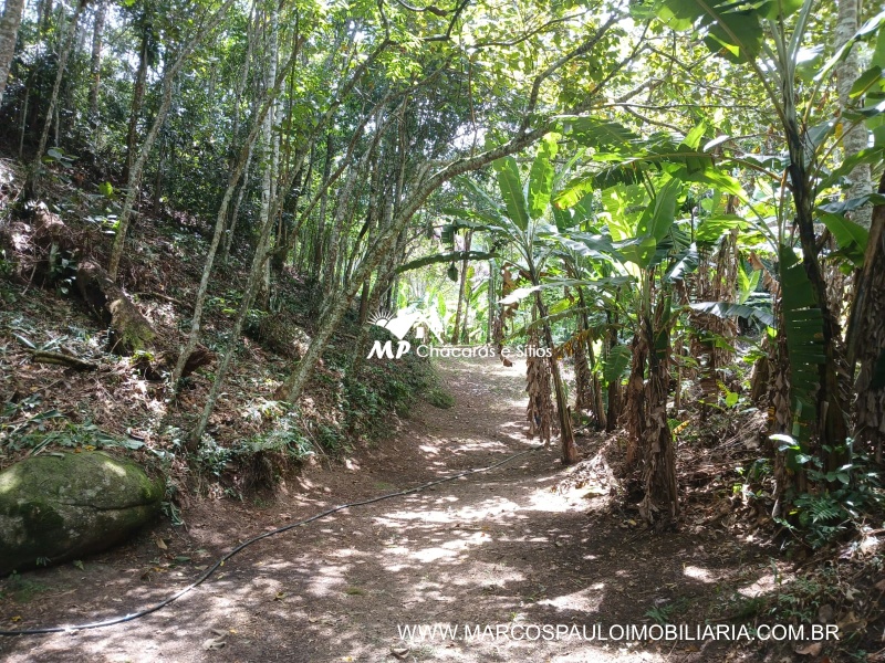 SÍTIO ESPETACULAR EM BIRITIBA MIRIM