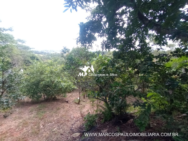 CHÁCARA PROXÍMO AO CENTRO DA CIDADE