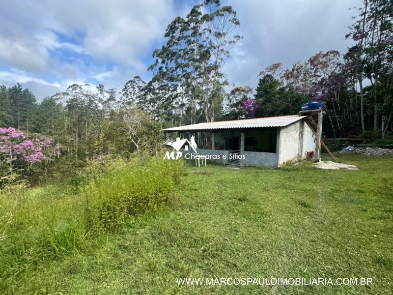 SÍTIO COM MUITA ÁGUA EM BIRITIBA MIRIM