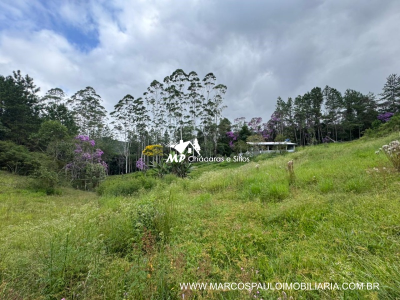 SÍTIO COM MUITA ÁGUA EM BIRITIBA MIRIM