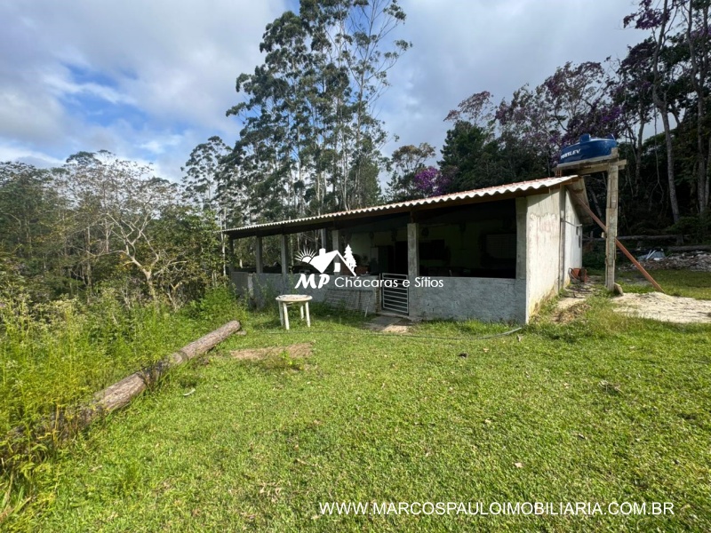 SÍTIO COM MUITA ÁGUA EM BIRITIBA MIRIM