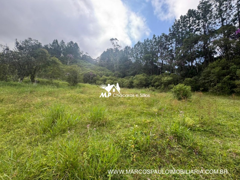 SÍTIO COM MUITA ÁGUA EM BIRITIBA MIRIM