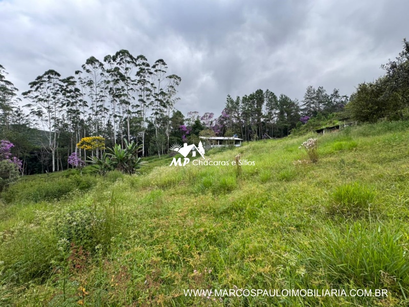 SÍTIO COM MUITA ÁGUA EM BIRITIBA MIRIM