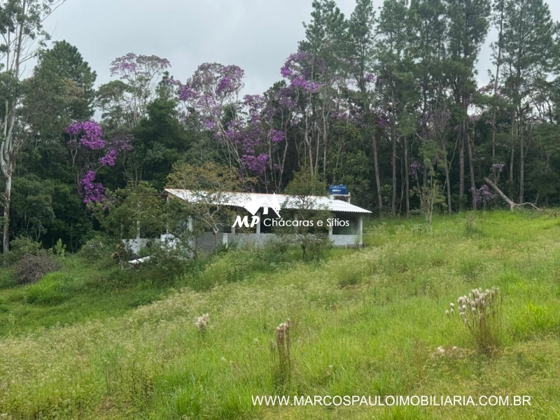 SÍTIO COM MUITA ÁGUA EM BIRITIBA MIRIM