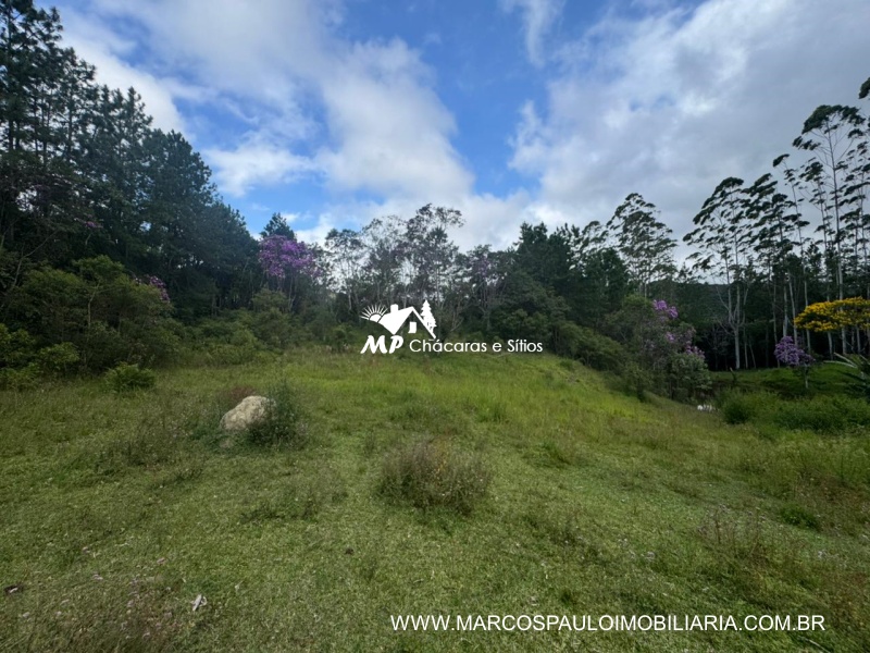 SÍTIO COM MUITA ÁGUA EM BIRITIBA MIRIM