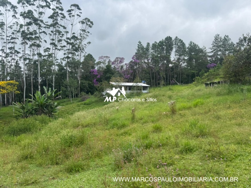SÍTIO COM MUITA ÁGUA EM BIRITIBA MIRIM