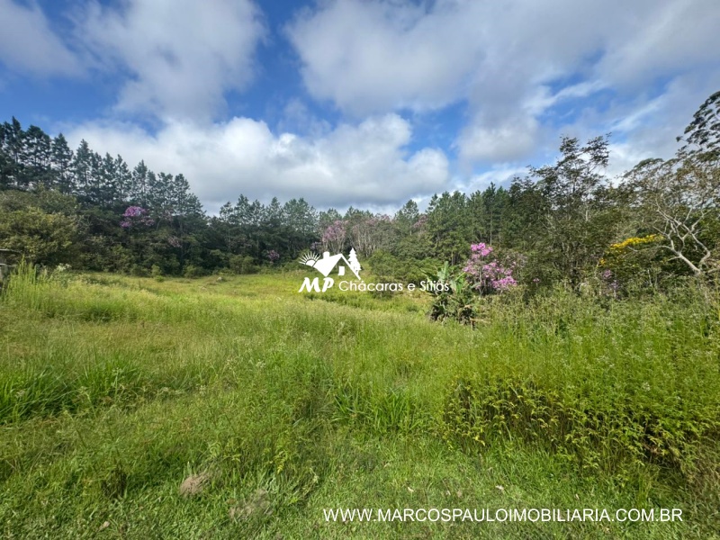 SÍTIO COM MUITA ÁGUA EM BIRITIBA MIRIM