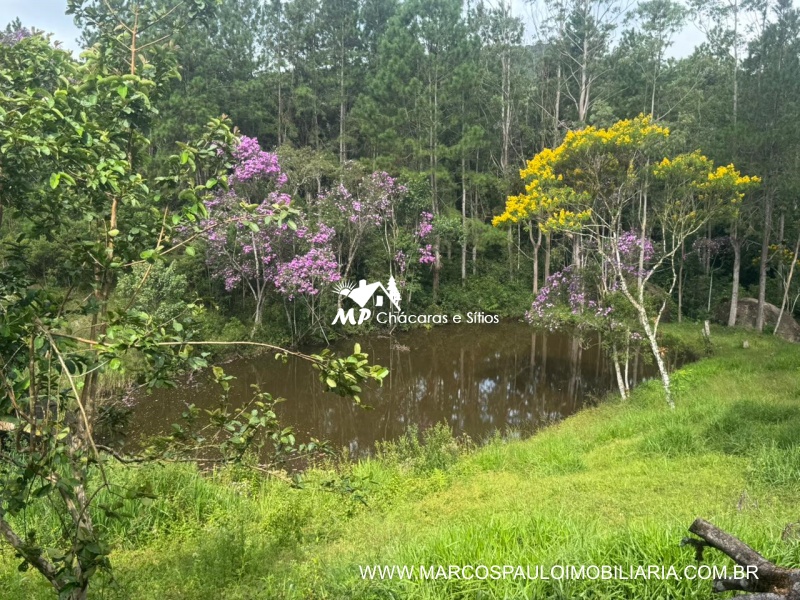 SÍTIO COM MUITA ÁGUA EM BIRITIBA MIRIM