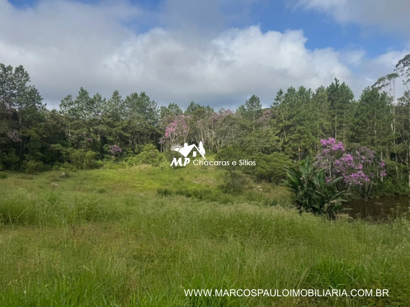 SÍTIO COM MUITA ÁGUA EM BIRITIBA MIRIM