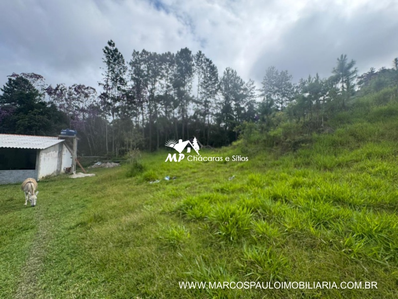 SÍTIO COM MUITA ÁGUA EM BIRITIBA MIRIM